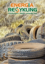Energia i Recykling 3/2019 (15)